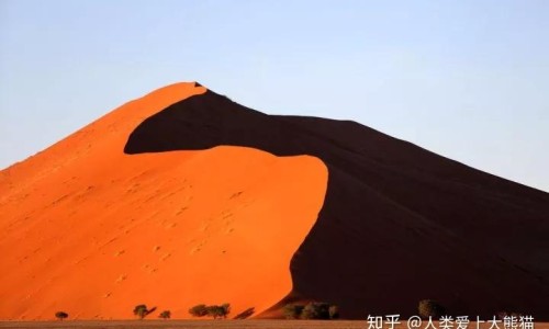 脸上突然长斑是什么原因引起的-脸上突然长斑跟痘网 - 网站提供脸上突然长斑了怎么回事小常识、脸上突然长痘